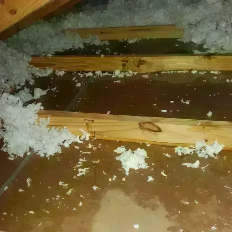 Attic Water Damage in Riverbank, CA