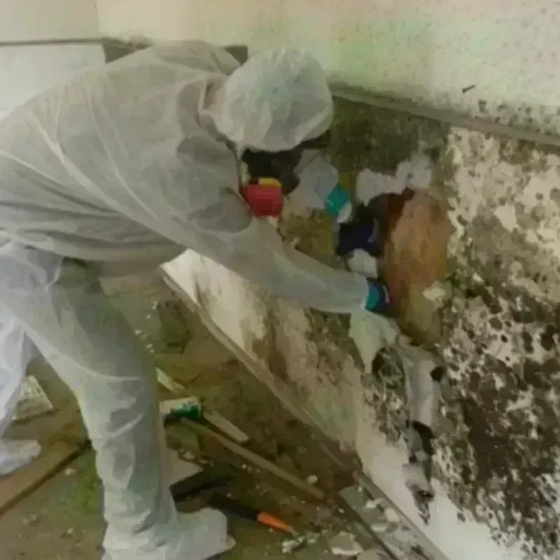 Mold Remediation and Removal in Riverbank, CA