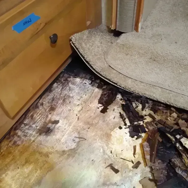 Wood Floor Water Damage in Riverbank, CA